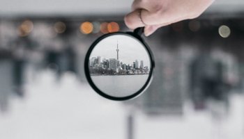 lupa_unsplash.com_@shambam